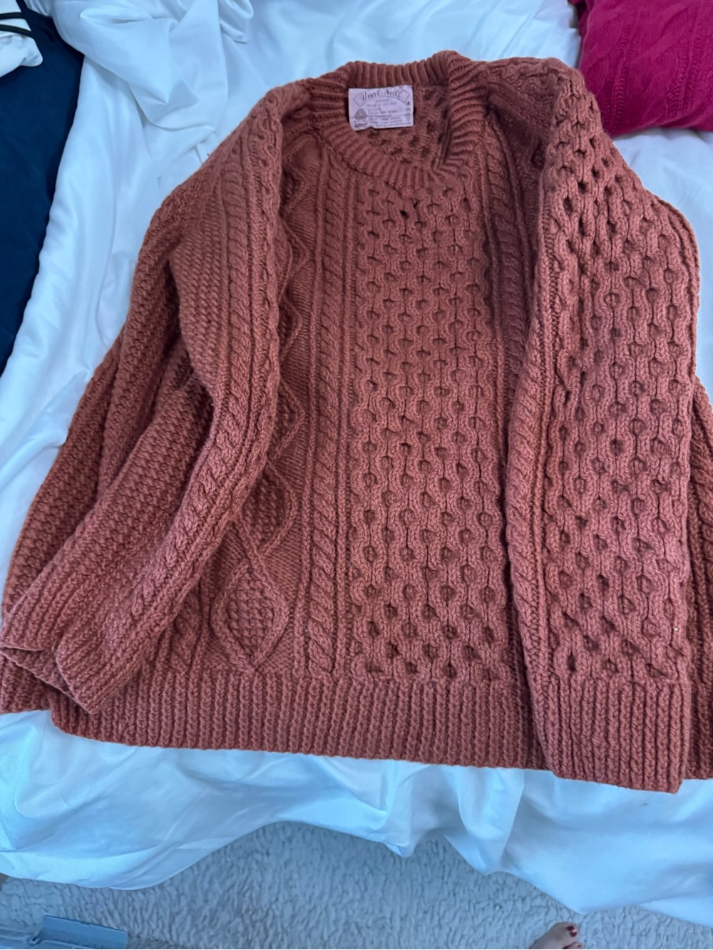 Cozy Cable Knit Crewneck Sweater in Rust